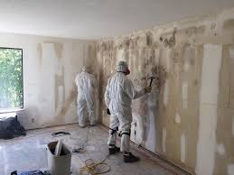 Best Industrial Mold Remediation  in Marshall, TX